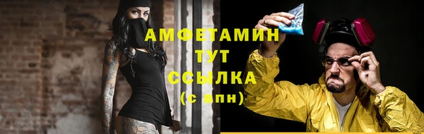 амф Алексин