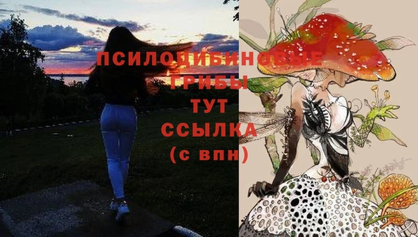 синтетический гашиш Горняк
