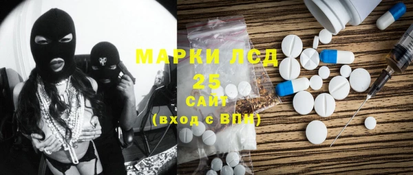 индика Киренск