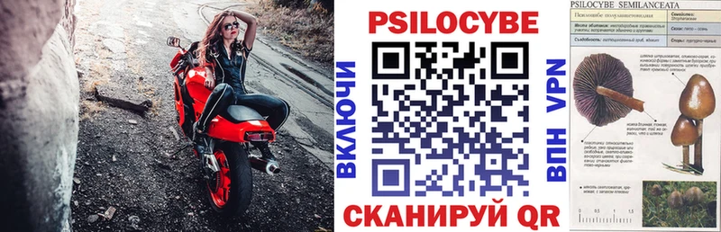 Галлюциногенные грибы мицелий  где продают   Чебаркуль 